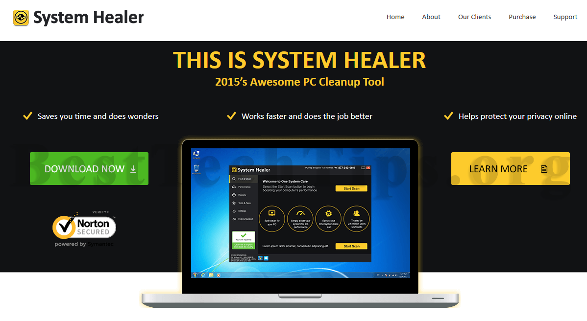 Get rid of System Healer