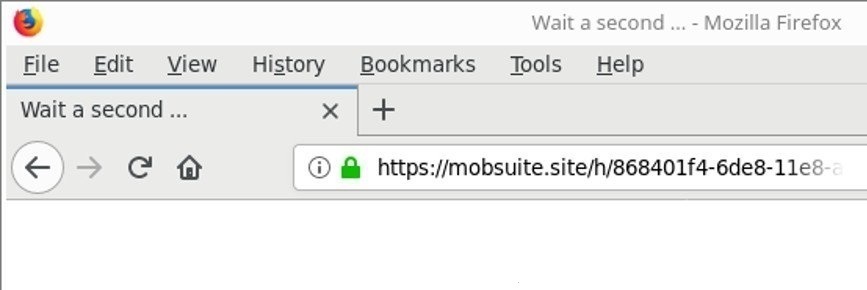 remove Mobsuite.site redirect
