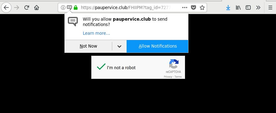 remove Paupervice.club