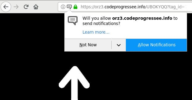 remove Codeprogressee.info