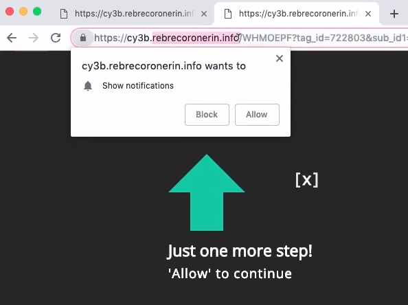 remove Rebrecoronerin.info