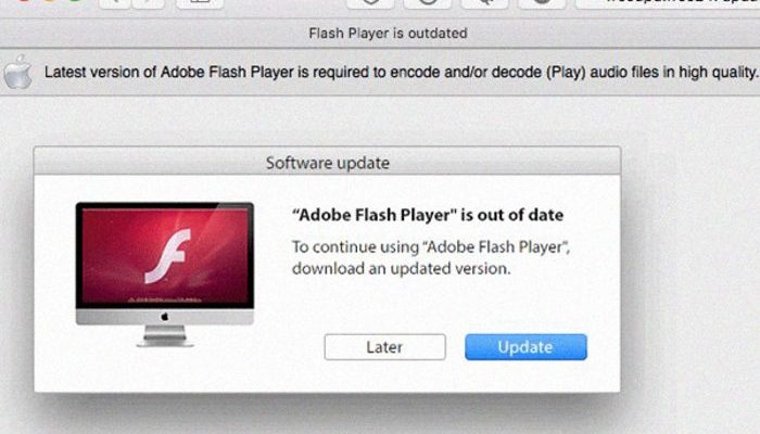 updated to the latest flash player for mac